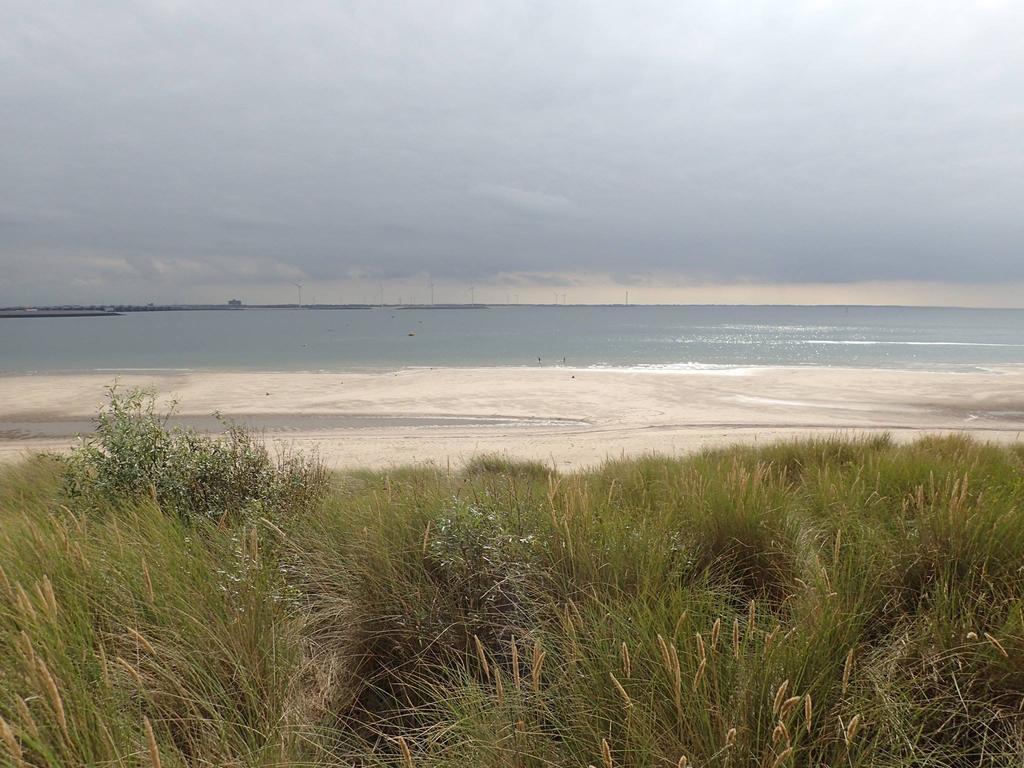 La Casa Aan Zee Daire Ellemeet Dış mekan fotoğraf