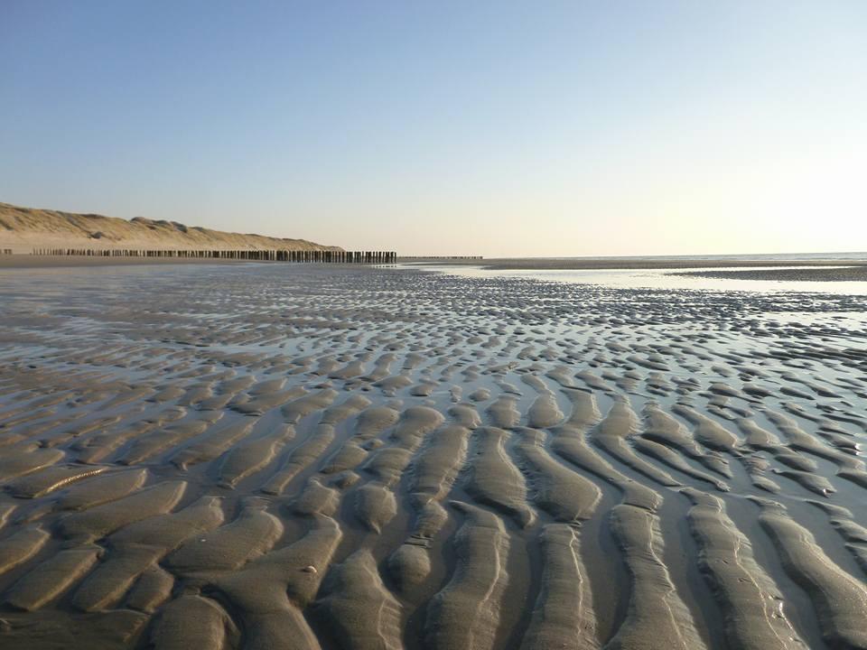 La Casa Aan Zee Daire Ellemeet Dış mekan fotoğraf