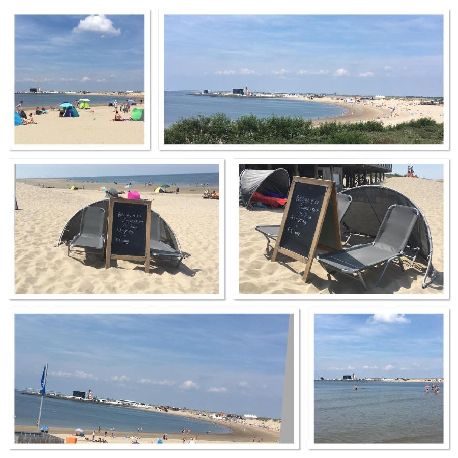 La Casa Aan Zee Daire Ellemeet Dış mekan fotoğraf